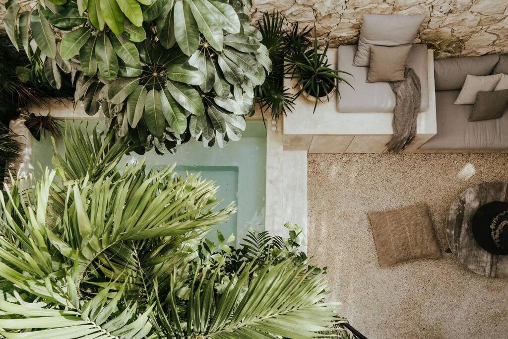 Design Casa Nautilus * Tulum